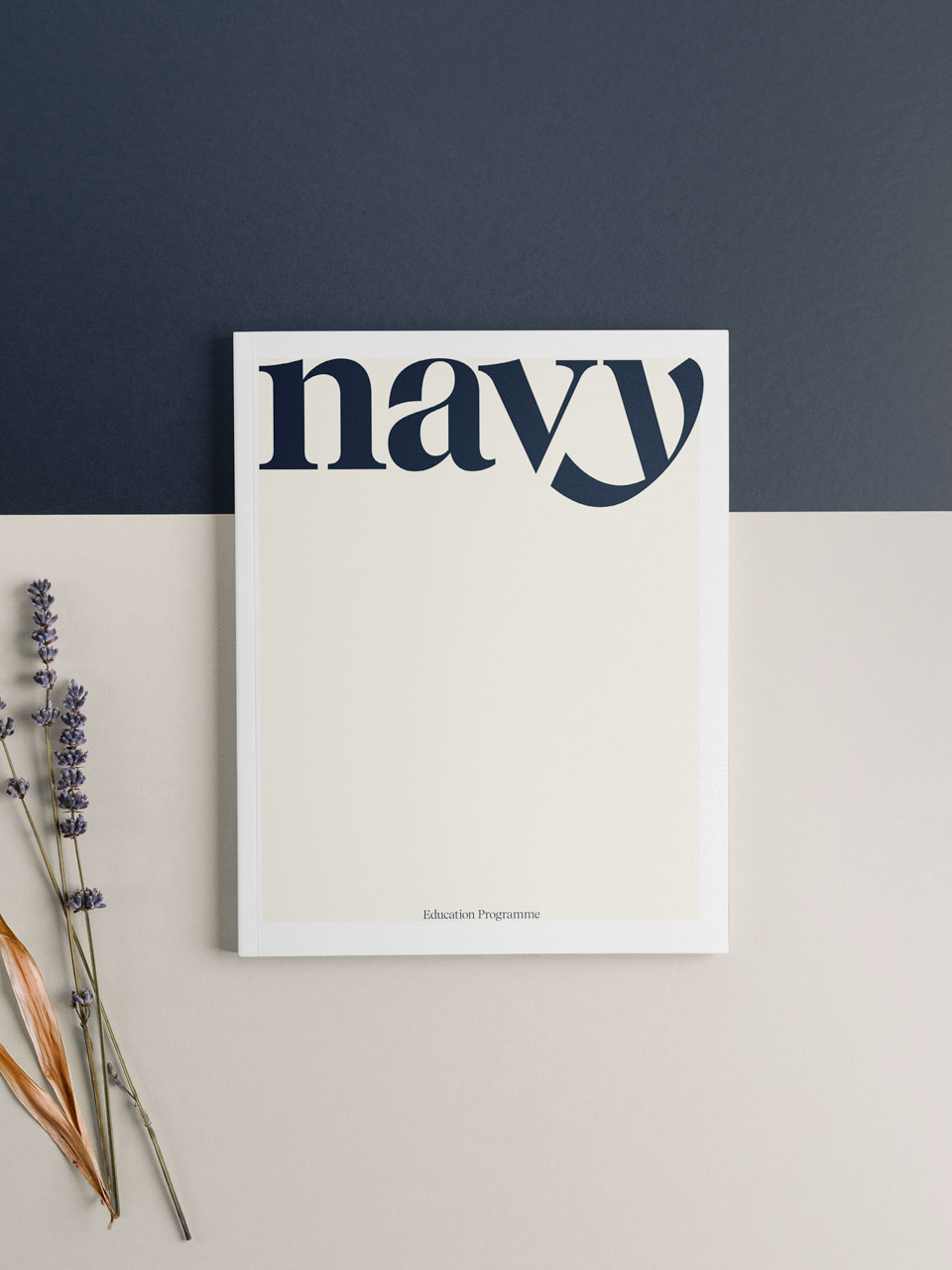 Navy brochure design